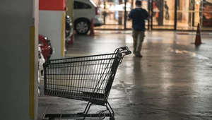 Krajowa Grupa Spożywcza ma budować państwową sieć handlową