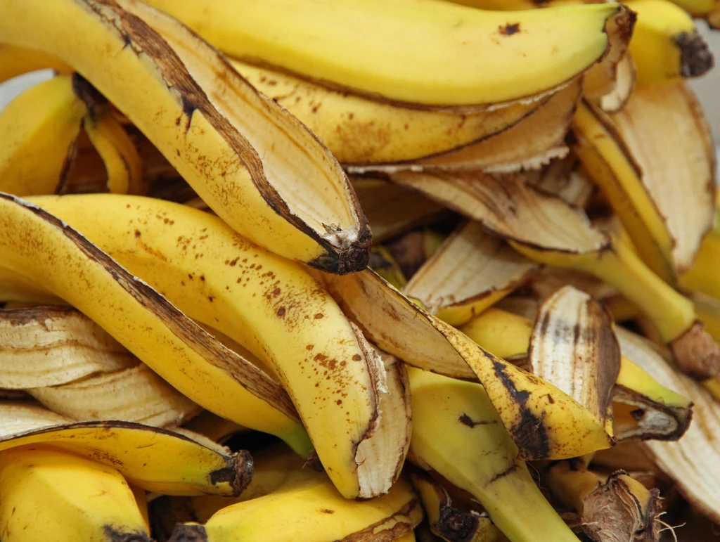 Skórki od banana są zbyt cenne, żeby po prostu je wyrzucić