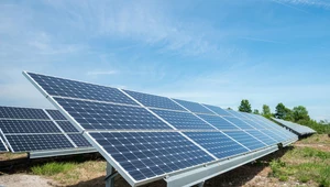 Tauron stawia na energię ze słońca 