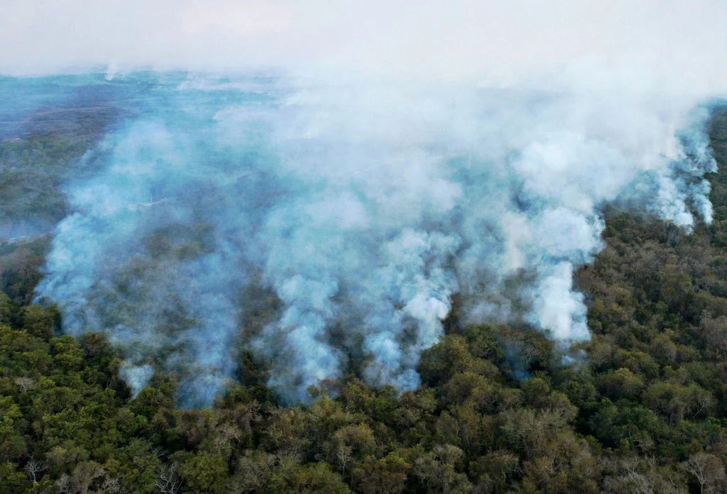 Pożar lasu deszczowego w Brazylii. 