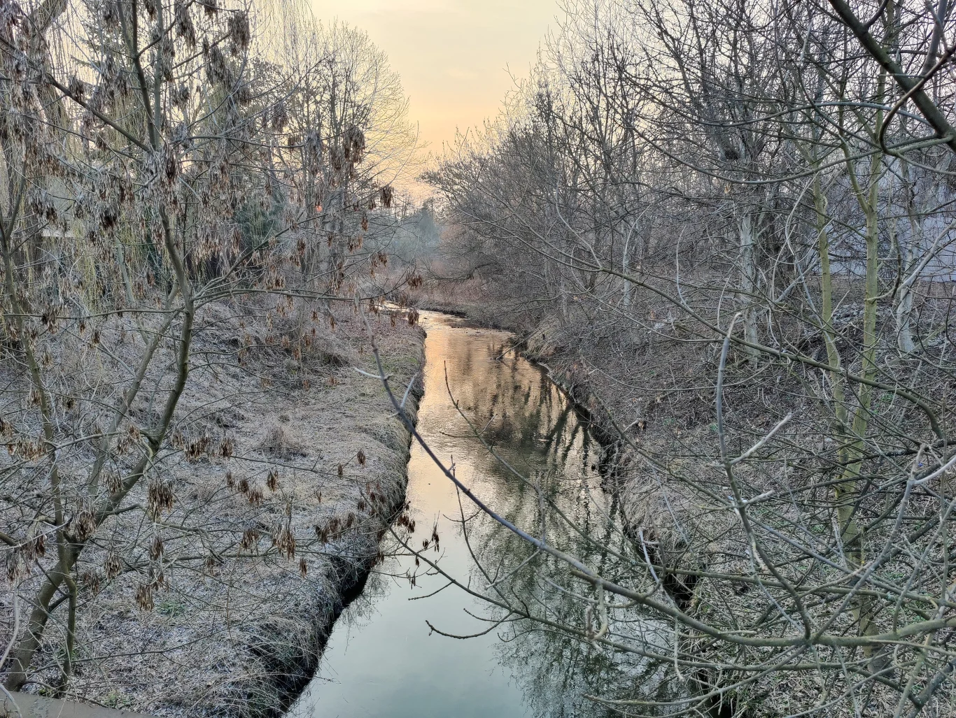 OnePlus 9 Pro - zdjęcia wykonane telefonem OnePlus 9 Pro - zdjęcia wykonane telefonem