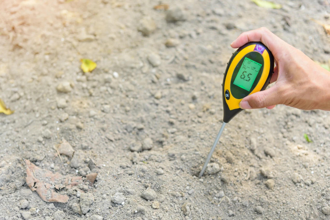 Test gleby możemy wykonać samodzielnie Test gleby możemy wykonać samodzielnie