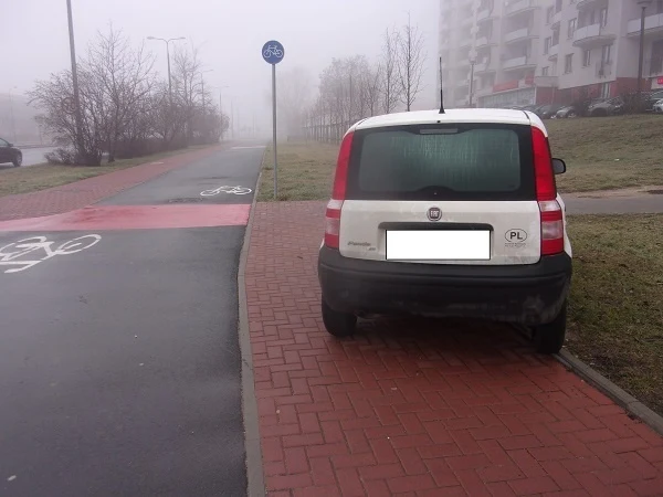 foto: Straż Miejska Płock