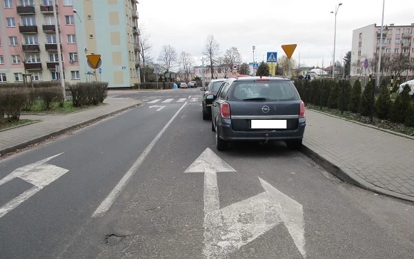 foto: Straż Miejska Płock