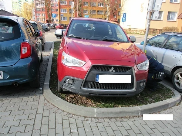 foto: Straż Miejska Płock