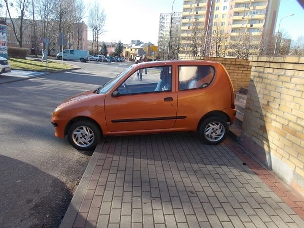 foto: Straż Miejska Płock