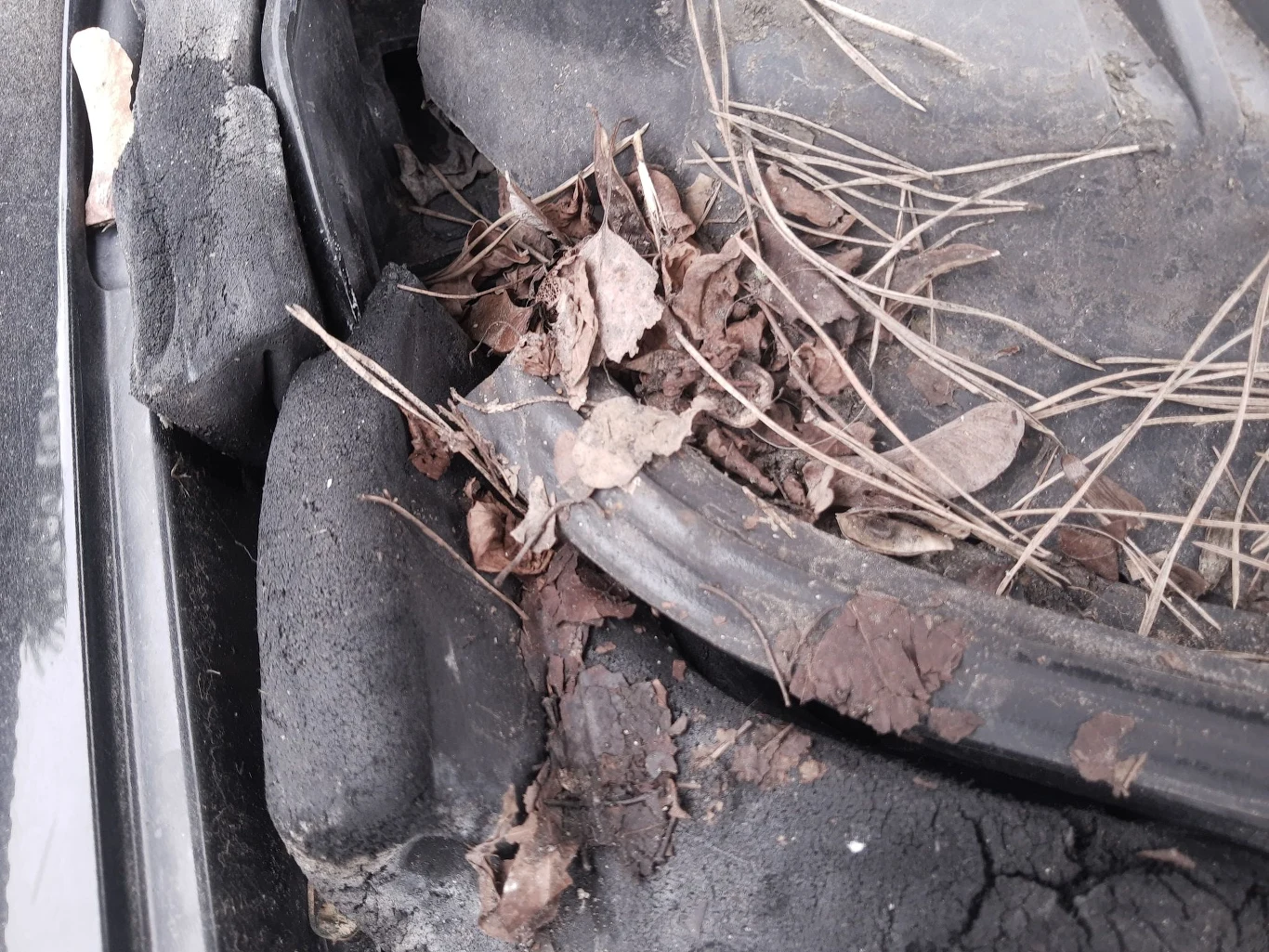 Zatkane odpływy często odpowiadają za przecieki do wnętrza i postępującą korozję progów