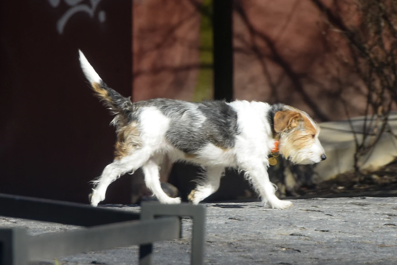 Suczka Wiesia Suczka Wiesia