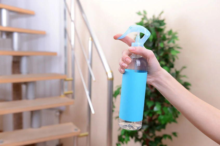 Wypróbuj naturalne sposoby na odświeżenie powietrza w domu Wypróbuj naturalne sposoby na odświeżenie powietrza w domu