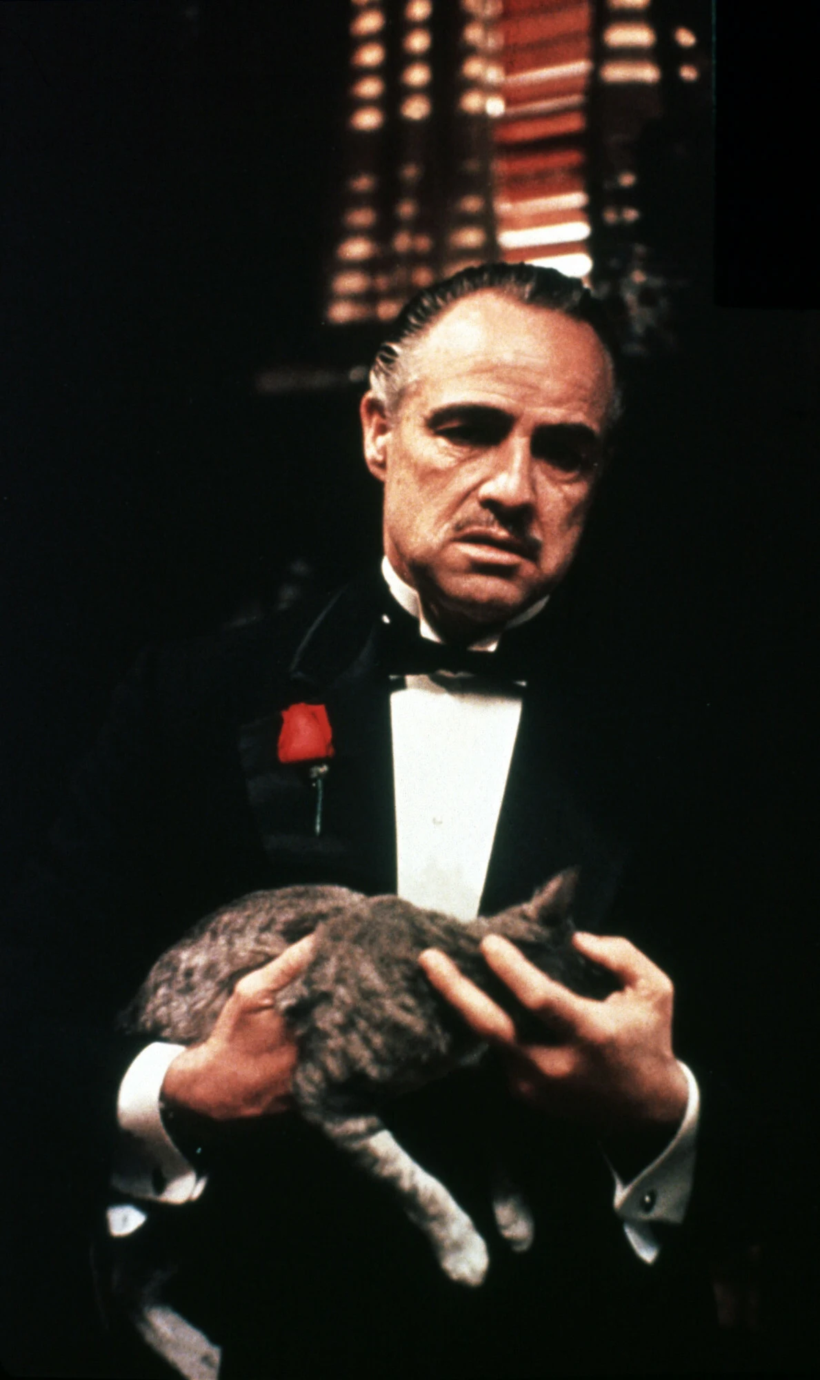 Marlon Brando, "Ojciec chrzestny", 1972 r.