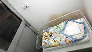 Zdjęcie ilustracyjne "okno życia" 