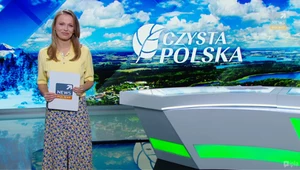 Czysta polska odc. 5