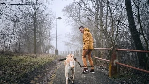 Wielu Niemców zdecydowało się w czasie pandemii na kupno psa (zdj. ilustracyjne)