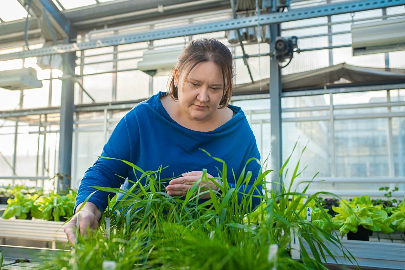 prof. Zuzanna Sawinska, Uniwersytet Przyrodniczy w Poznaniu prof. Zuzanna Sawinska, Uniwersytet Przyrodniczy w Poznaniu