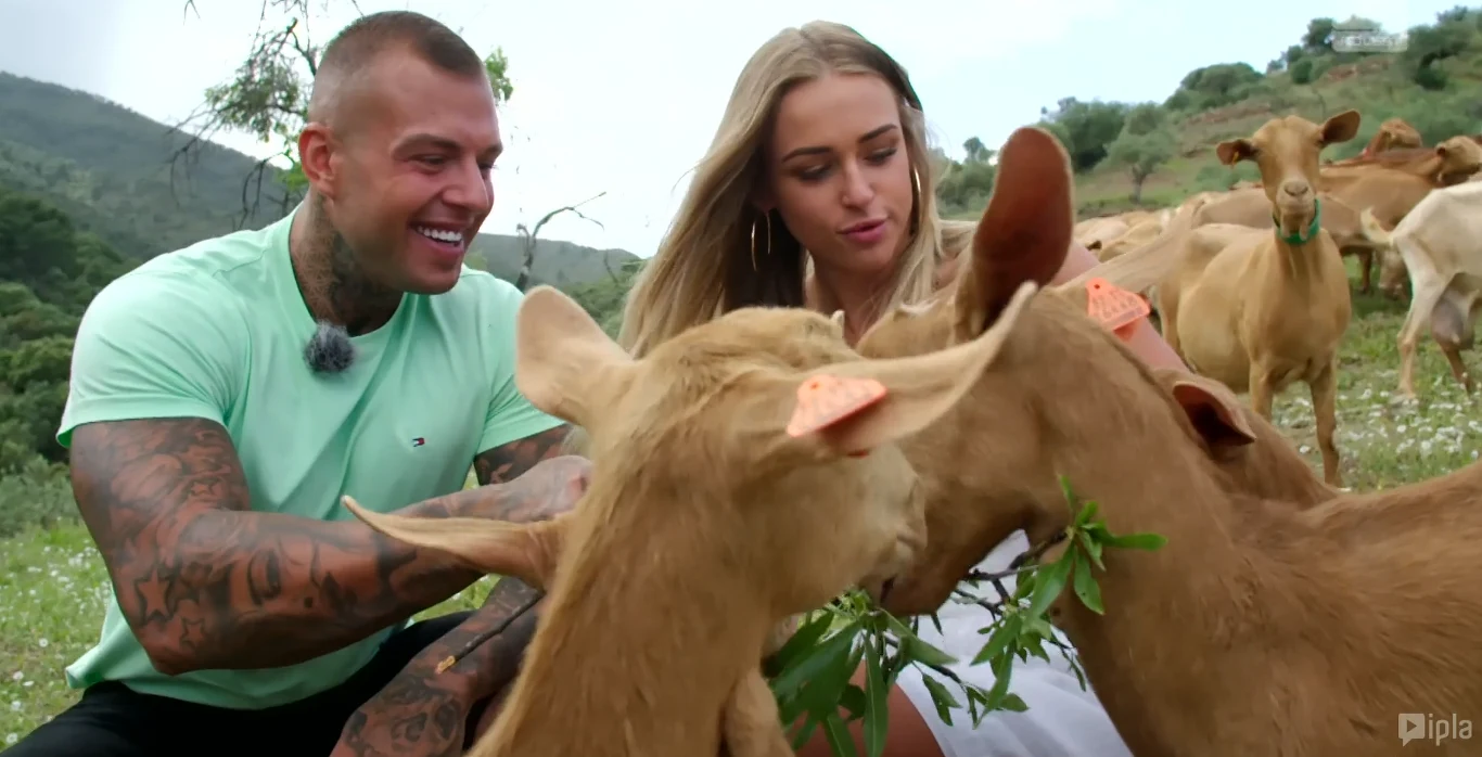 Ania i Czarek mogli się poznać bliżej na romantycznej randce! Ania i Czarek mogli się poznać bliżej na romantycznej randce!