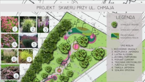 Rzeszów: Miasto stworzy ogrody kieszonkowe