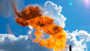 Togetair 2021. Bez gazu Polska nie udźwignie transformacji