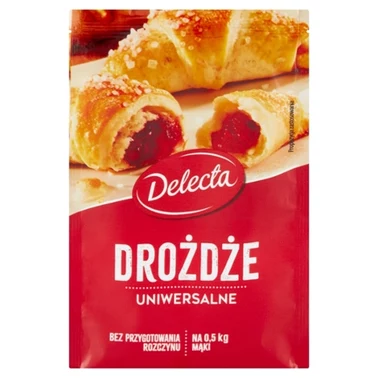 Delecta Drożdże uniwersalne 8 g - 0