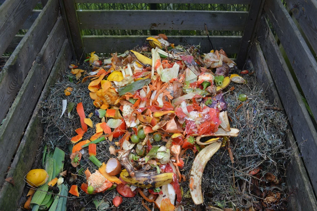 Do kompostowania nadaje się większość organicznych odpadków powstających w domu i ogrodzie.