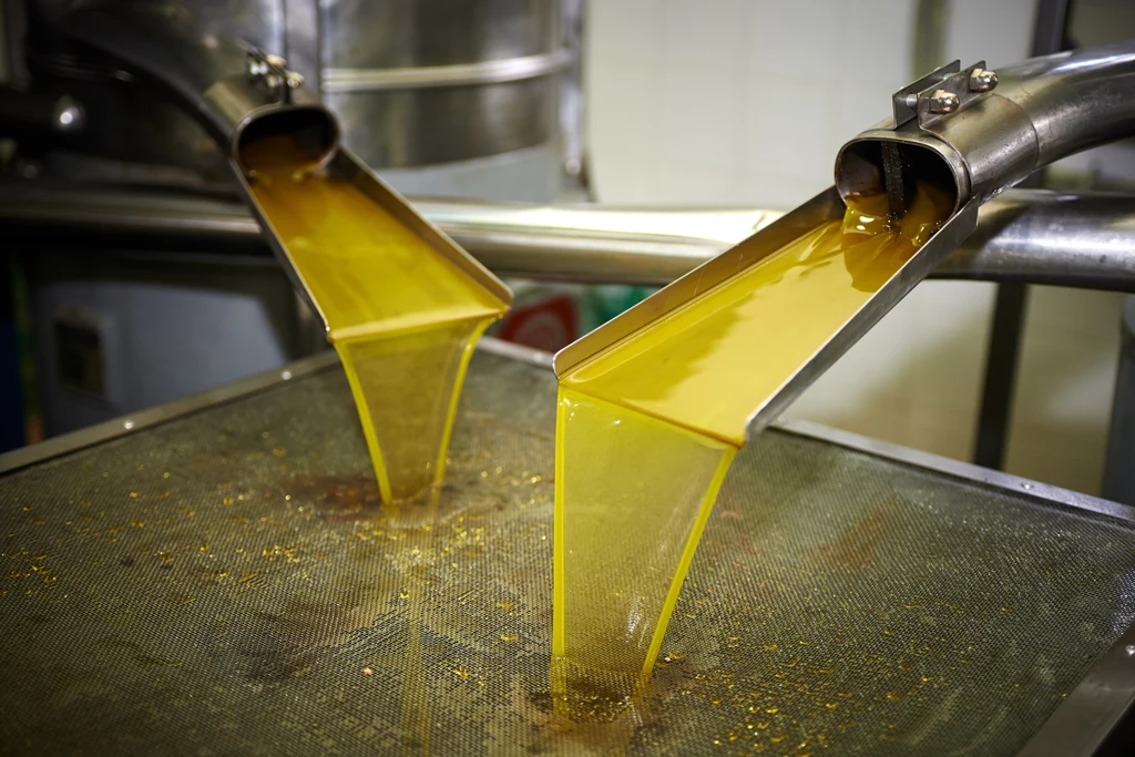 Oliwa z oliwek to najczęściej stosowany w kuchni tłuszcz roślinny