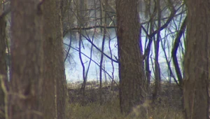 Pożar przy trasie S8