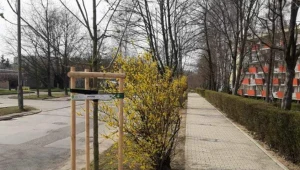 Sprawa używa roztworu soli