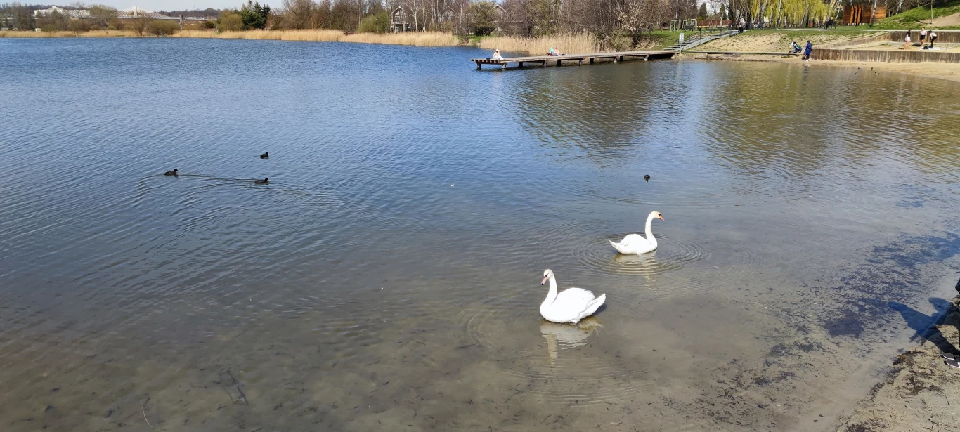  Zdjęcie wykonane obiektywem głównym Mi 11