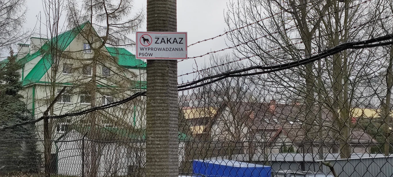  Zdjęcie wykonane smartfonem Xiaomi Mi 11