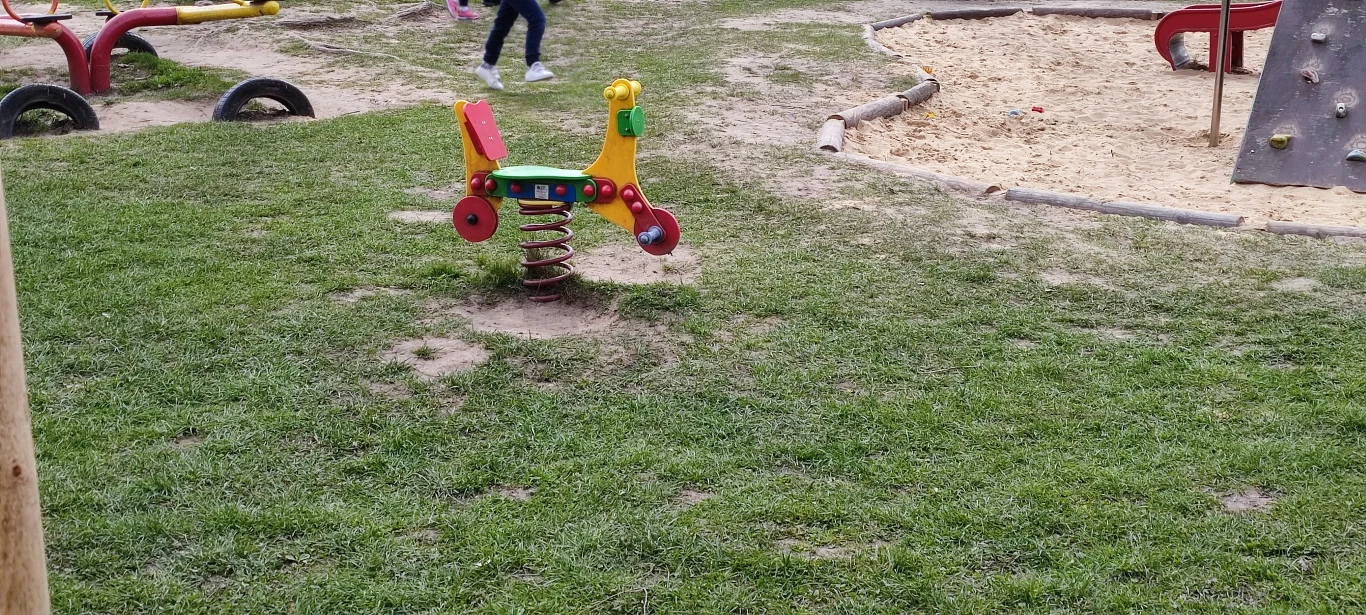  Zdjęcie wykonane obiektywem głównym Mi 11