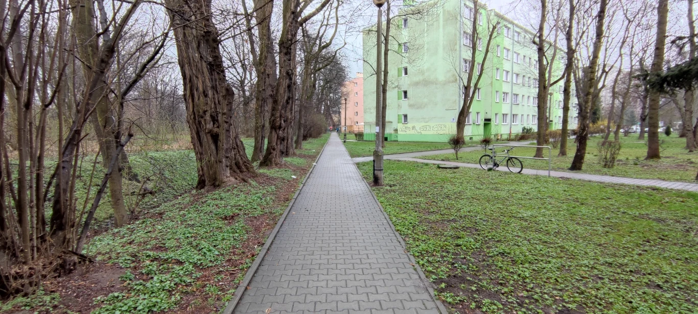 Zdjęcie wykonane obiektywem ultraszerokokątnym