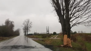 Końskowola - 19-latka zginęła w samochodzie, który spłonął po uderzeniu w drzewo