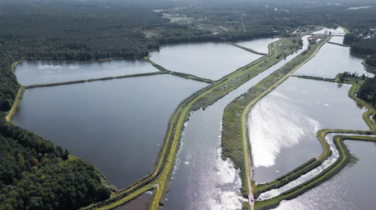 Idealnym miejscem do obserwacji ptaków wodnych są też stawy w Rudzie Malenickiej. Są to stawy hodowlane, ale kto marzy plażowaniu i kąpielach też znajdzie coś dla siebie na „Piekielnym szlaku”.