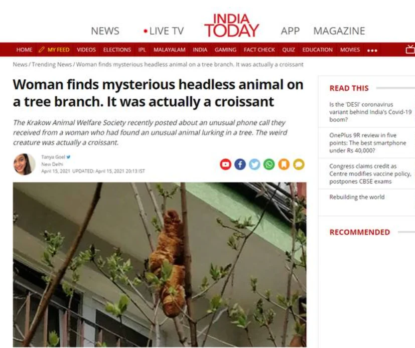 Indyjskie media także informowały o tzw. "bezgłowym zwierzęciu". / indiatoday.in