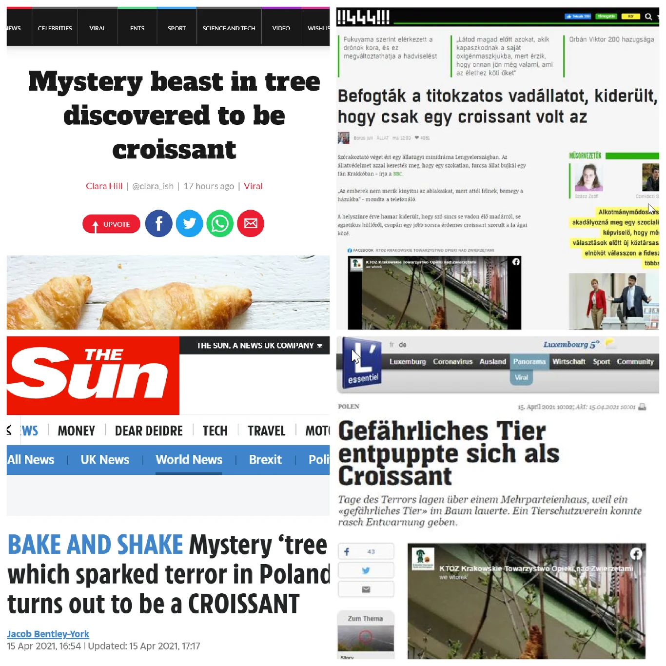 Cała Europa oraz niektóre kraje z innych kontynentów rozpisują się o tajemniczym potworze z drzewa. 