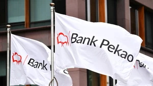 Bank Pekao nie będzie prywatyzowany - wynika z planów MAP