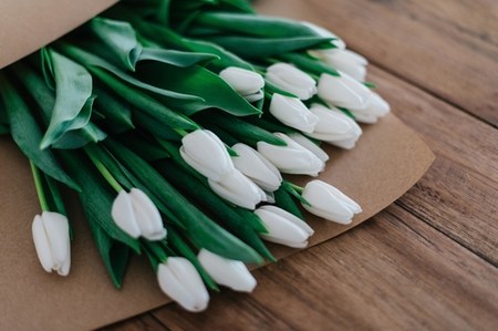 Tulipany za darmo w Lidlu