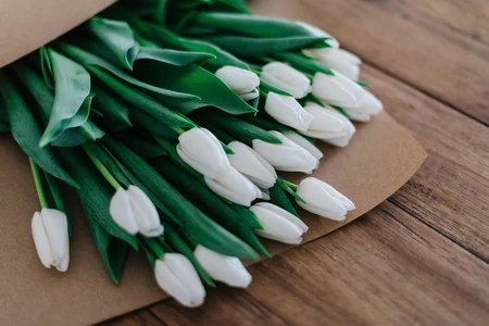 Tulipany za darmo w Lidlu