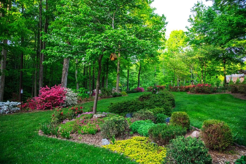 Rośliny zadarniające mogą być efektowną ozdobą w ogrodzie
