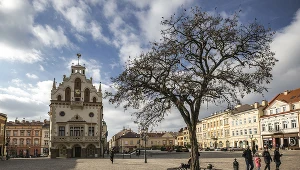 Kto będzie kolejnym prezydentem Rzeszowa? 