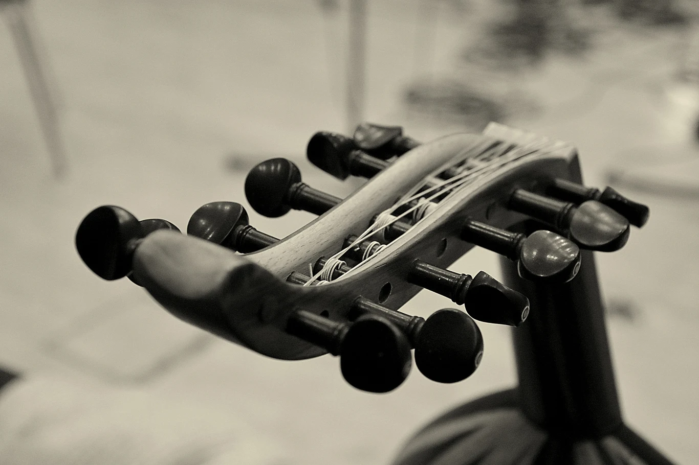 Sebastian Riedel i jego goście podczas pracy w studiu