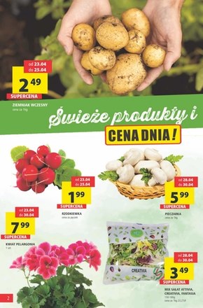 Produkty idealne na grilla w Arhelan