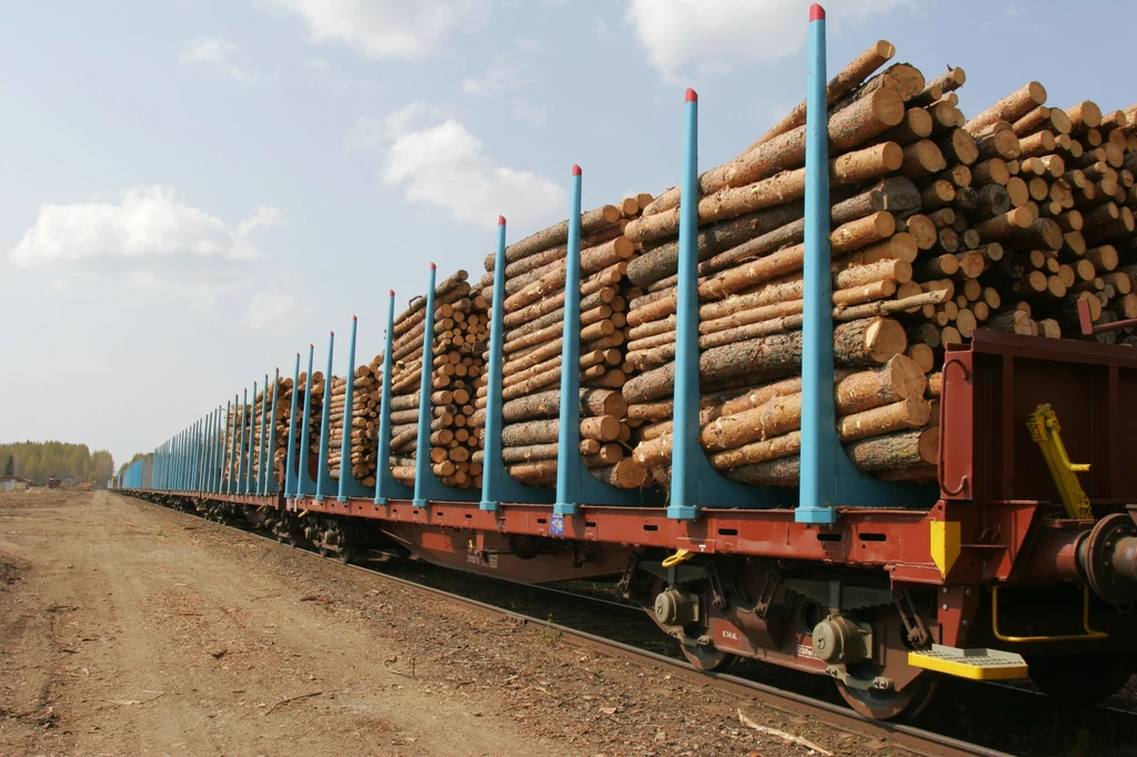 Duży eksport drewna powoduje, że polscy przedsiębiorcy mają problem z jego kupnem. 