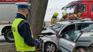 Fotoprzestroga. Tragiczne uderzenie w drzewo