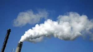 Przemysł leśny jest kluczową gałęzią fińskiej gospodarki