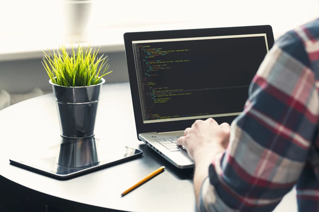 Wielu informatyków (programistów) rozlicza się tylko poprzez PIT, prowadząc jednoosobowe firmy