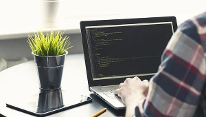 Wielu informatyków (programistów) rozlicza się tylko poprzez PIT, prowadząc jednoosobowe firmy