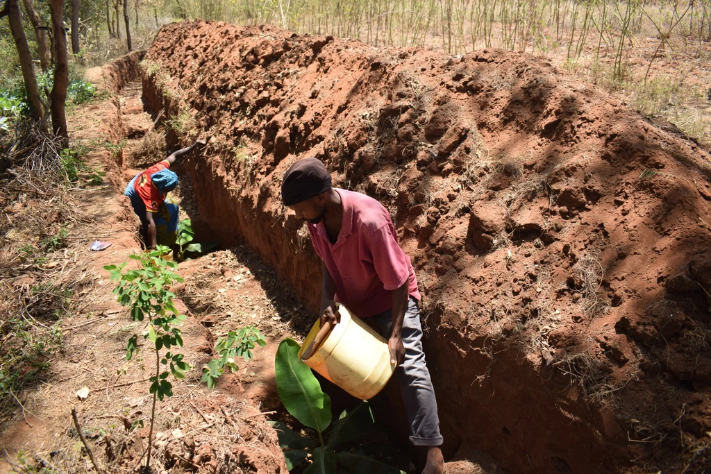 Tarasowanie upraw w hrabstwie Makueni, Kenia. fot. PAH