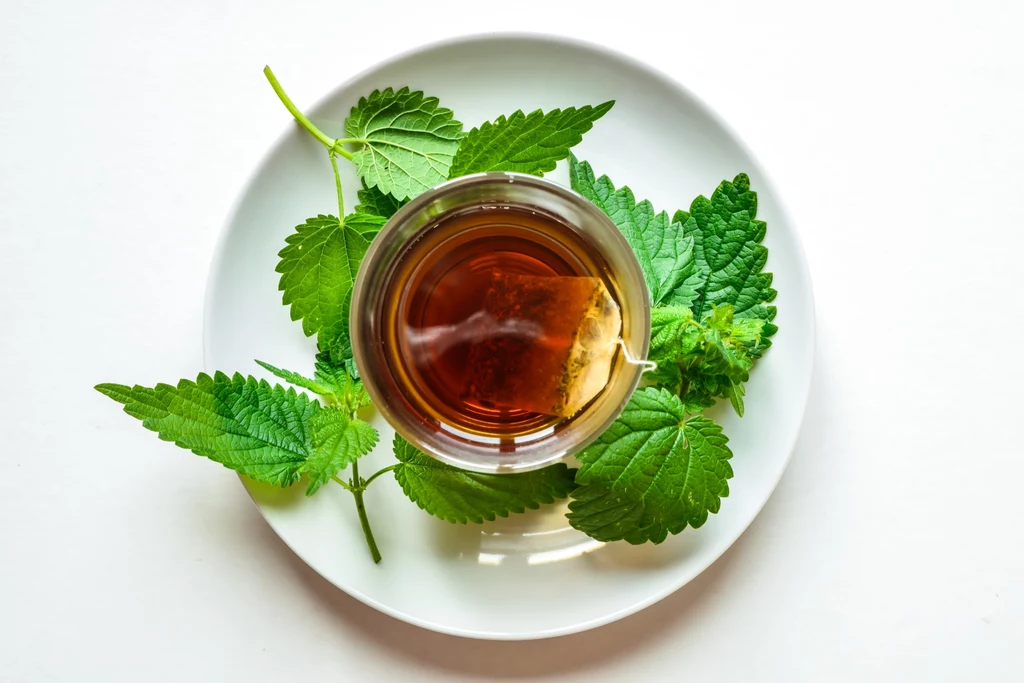 Herbata z pokrzywy to doskonałe źródło witamin, naturalny lek i kosmetyk