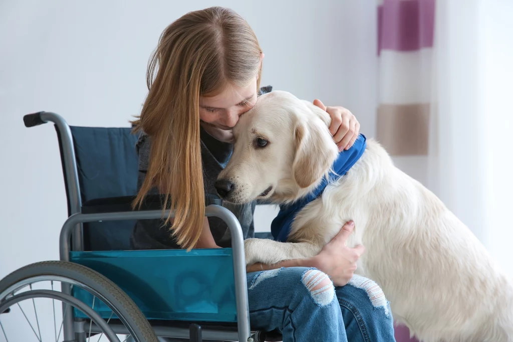 Pies serwisowy często staje się najlepszym przyjacielem niepełnosprawnej osoby
