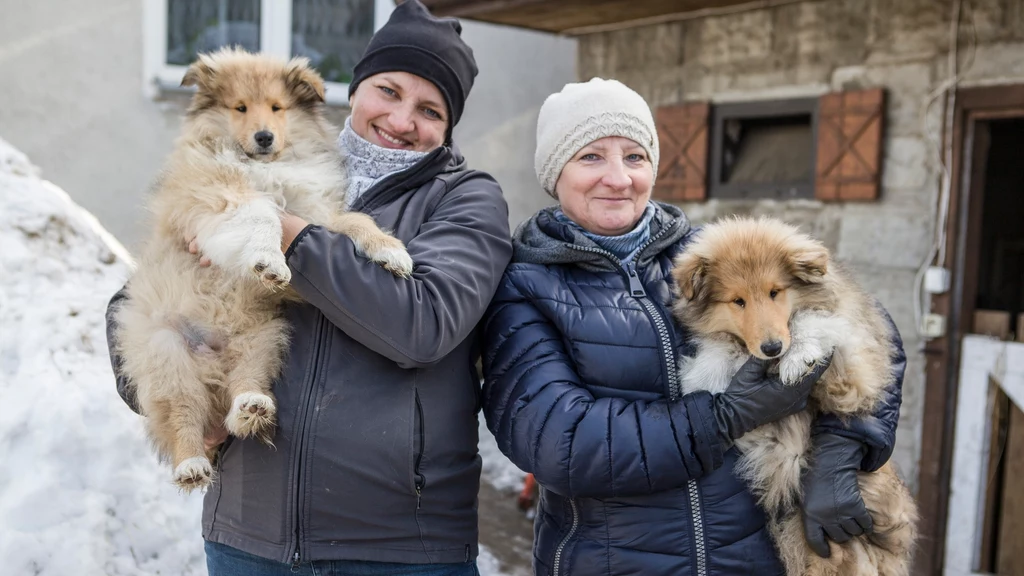 U Emilii pojawił się mały szczeniak, wkrótce pojawi się również mały bobas!